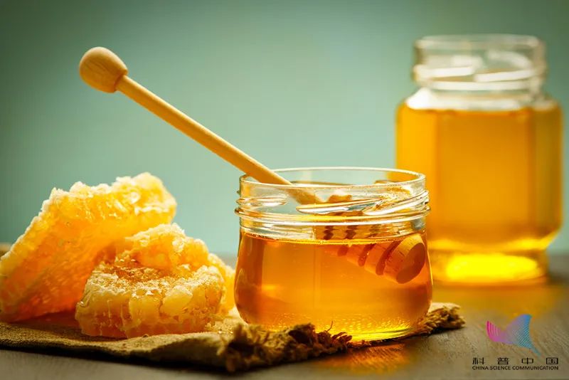 科普 | 长期吃蜂蜜会致癌、致畸？和葱一起吃，会中毒？真相，拿来吧你…
