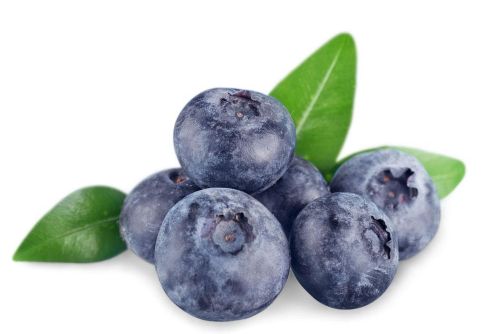 蓝莓可以放冰箱吗 蓝莓放冰箱能保存多久