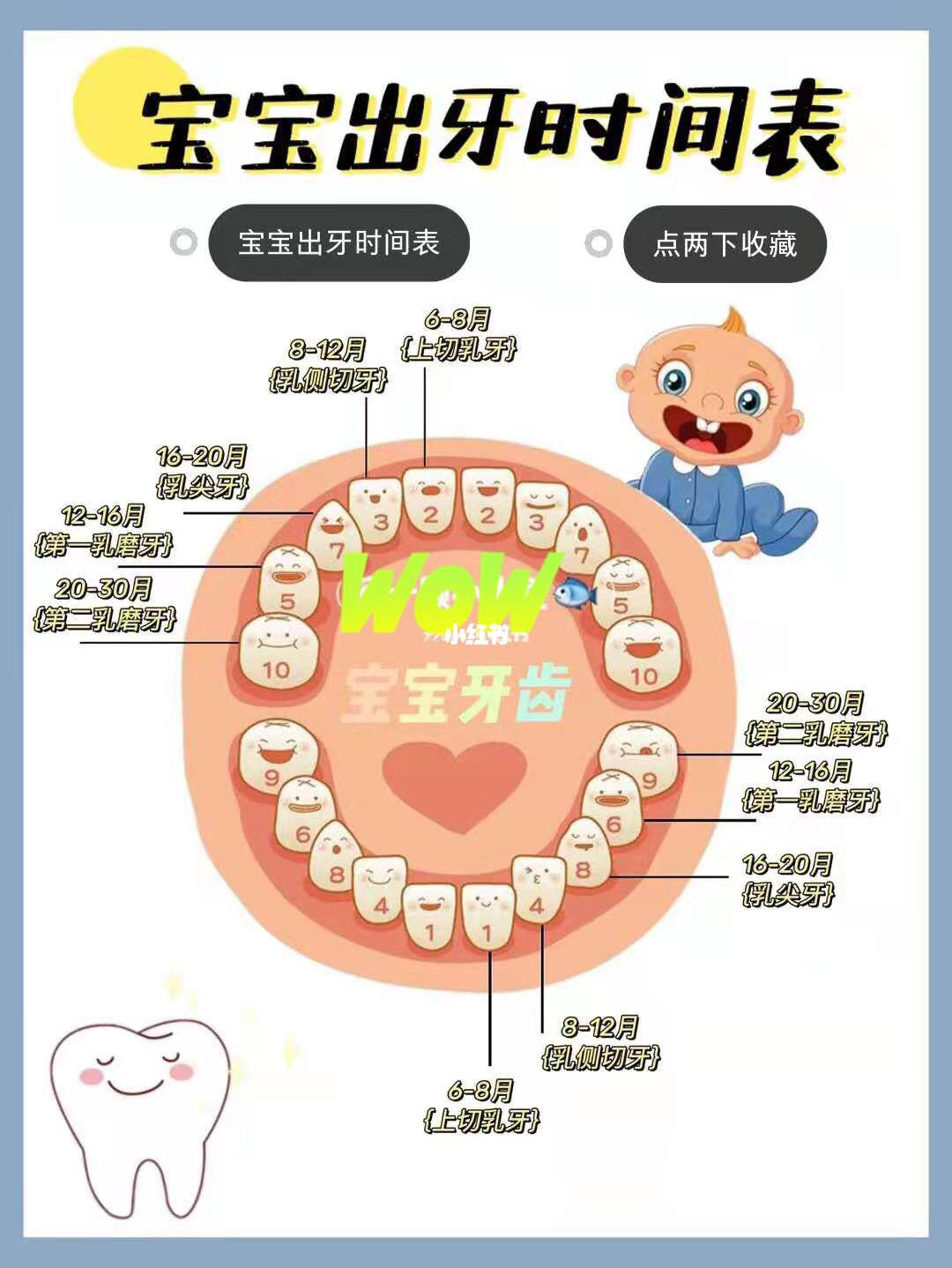 宝宝什么时候开始长牙，几岁可以把牙齿长全？