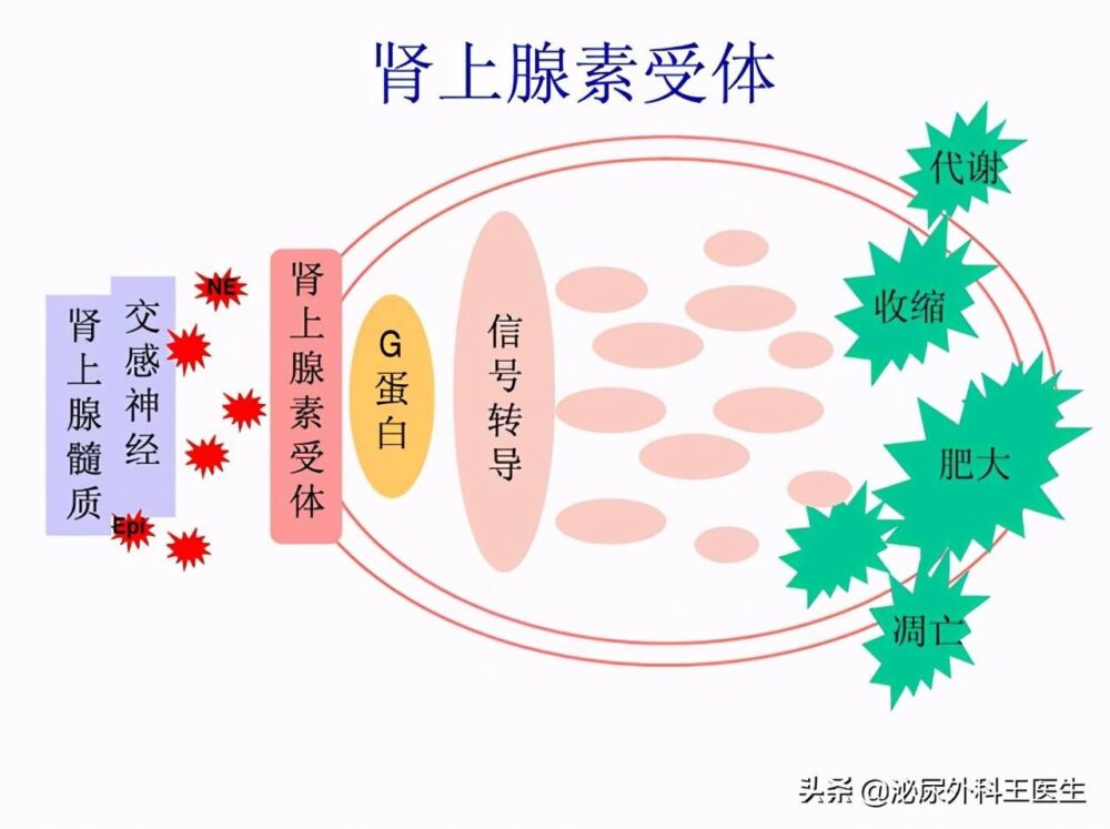 你了解过坦索罗辛吗？除了改善尿频，还能治疗3种常见的男科疾病