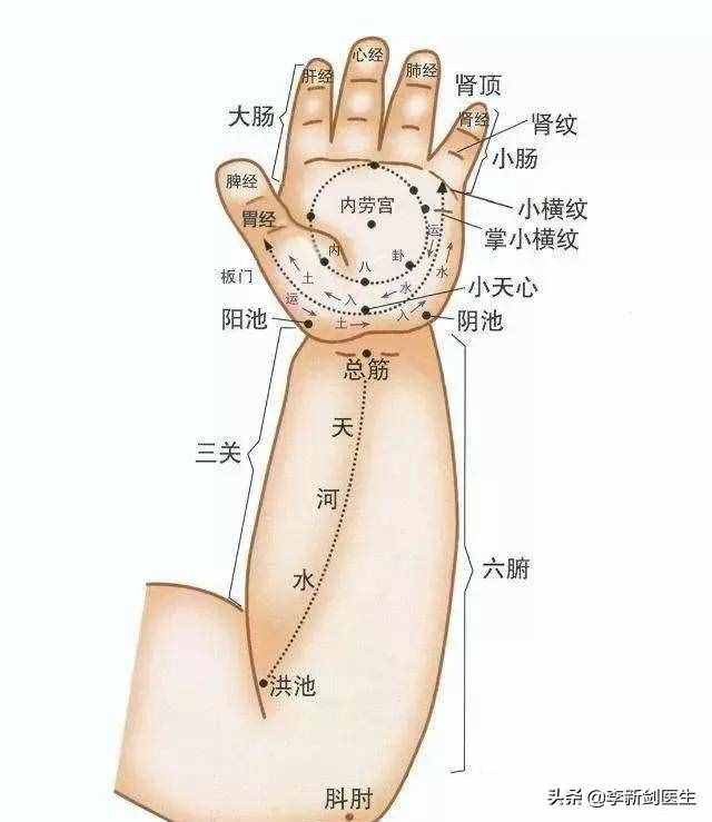 手部六井穴位置功用总结