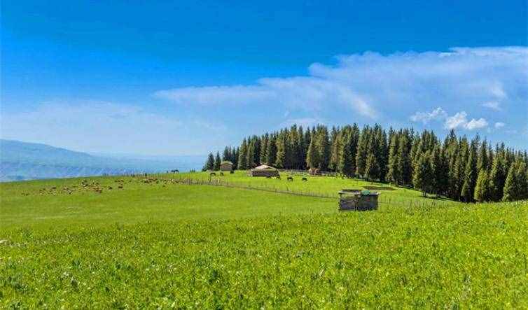 风景像画一样美的新疆伊犁自驾游四大景点推荐