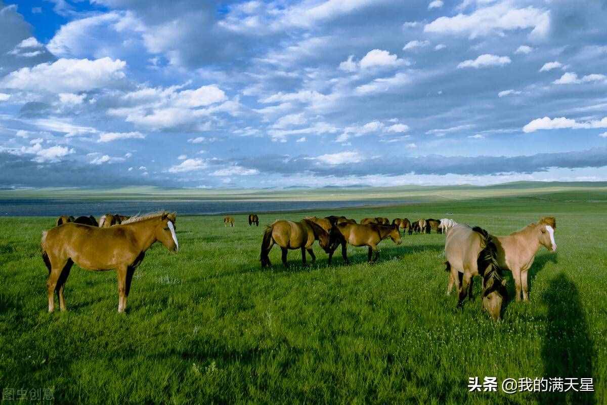 内蒙古必去的5大草原，风吹草低见牛羊，一定目睹草原的风采