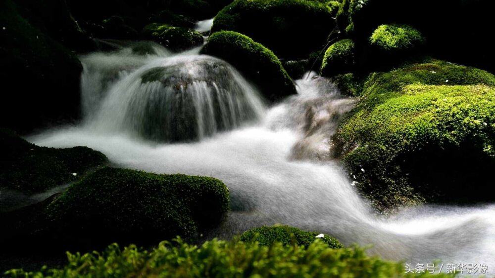 凤县紫柏山生态探险景区