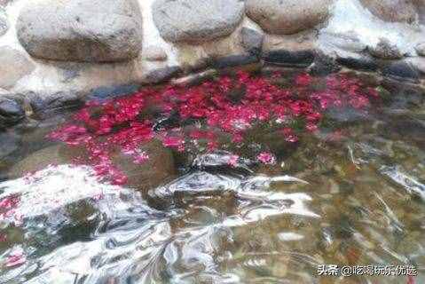 苏州这个24000㎡的温泉承包你的冬季，天颐温泉6大泡汤区39池