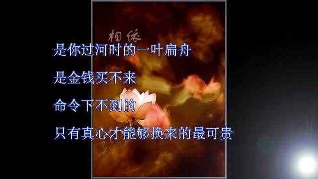 相依什么意思(相依相惜是什么意思)