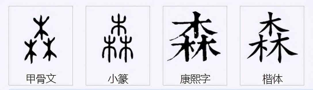 国锋练字公益课堂丨森字的写法