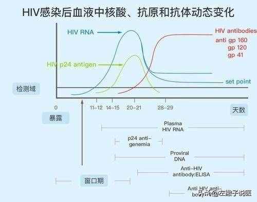 艾滋病正常的话需要几年能查出来？一文全看懂