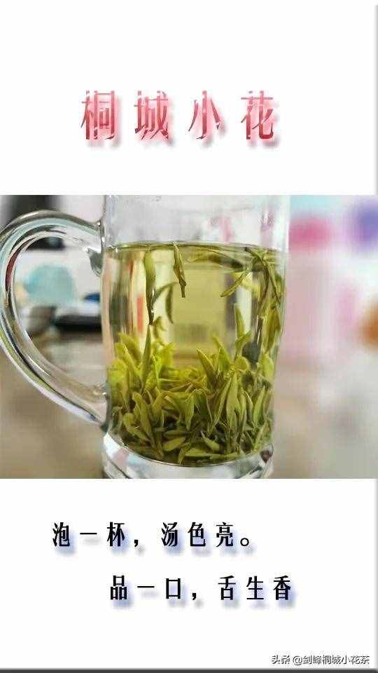 泡绿茶的正确方法是什么