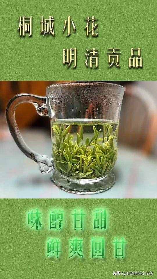 泡绿茶的正确方法是什么