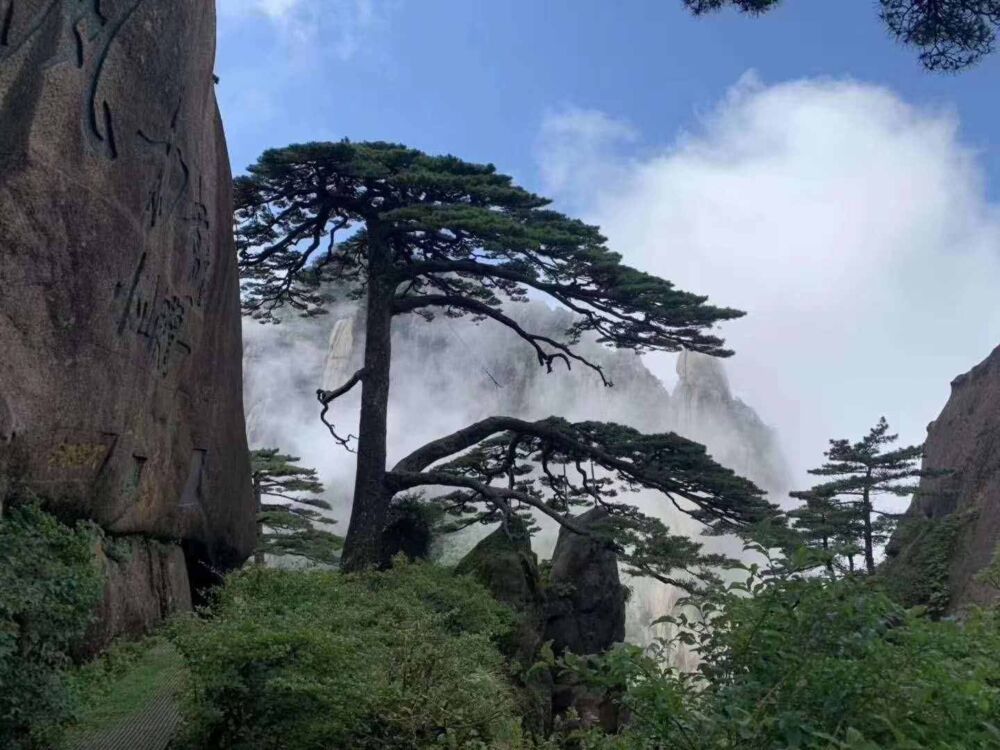 黄山山上一日游推荐路线