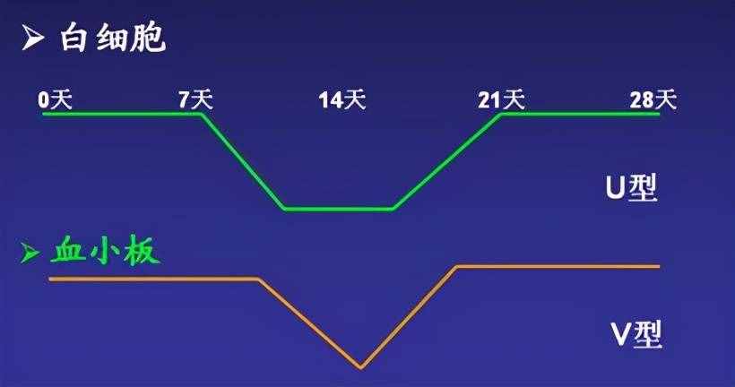 为何化疗是21天为一周期？不让肿瘤细胞喘息又能给身体恢复时间