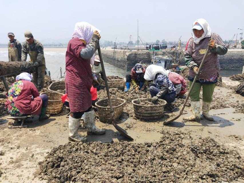 「攻略」北京坐G481高铁，到山东日照旅游，仅需4个半小时