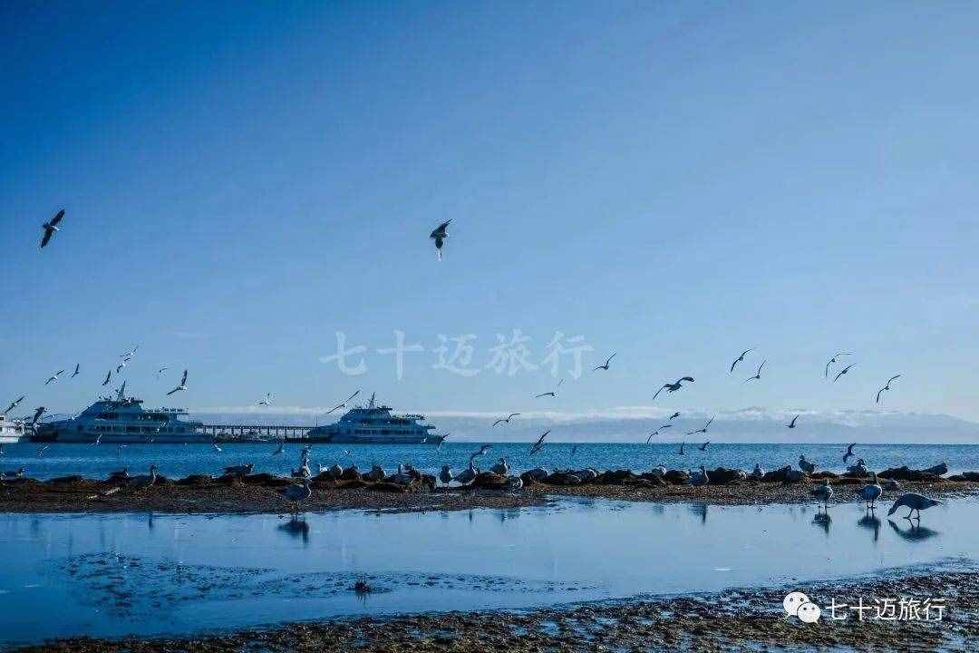 2021年最新青海湖自驾旅游攻略（景点 部分景点关闭 小众拍照点）