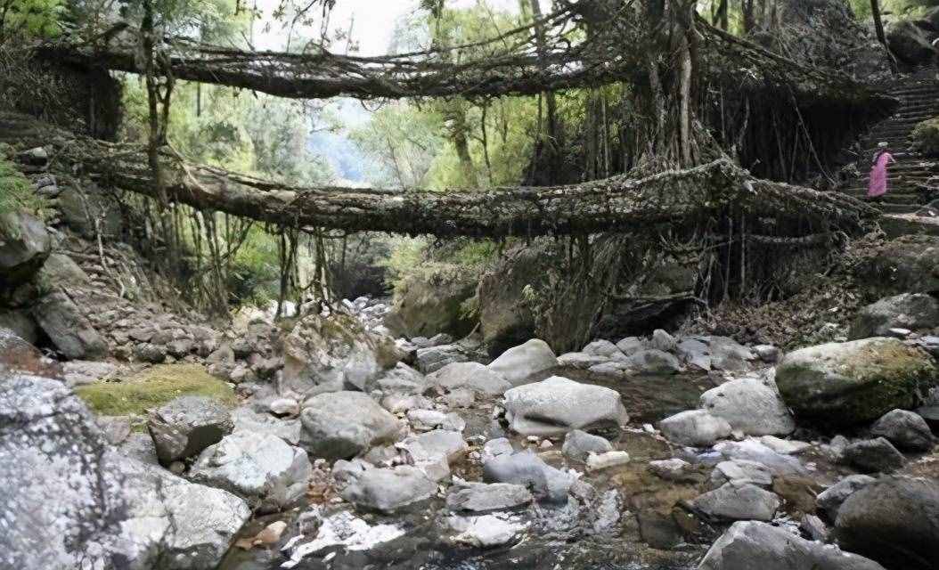 作死的脚步从未停息，盘点十大生命禁区