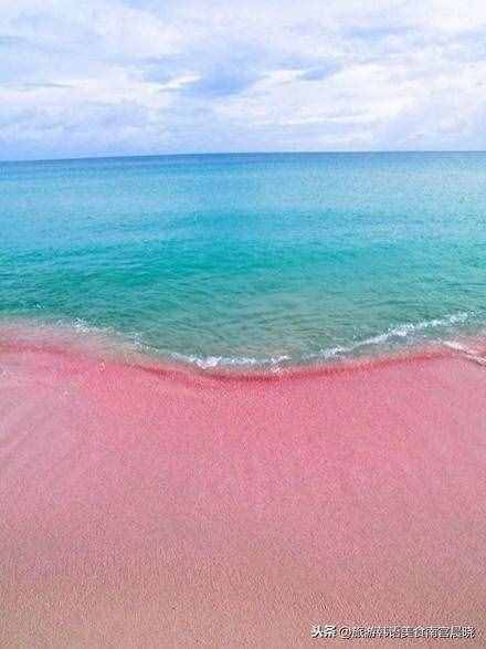 巴哈马最全旅游攻略，避免踩雷：追逐粉红色沙滩，看最幸福的小猪