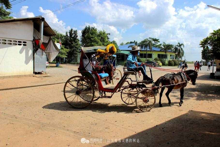 暹罗大象广场：骑大象 乘马车 钓鳄鱼