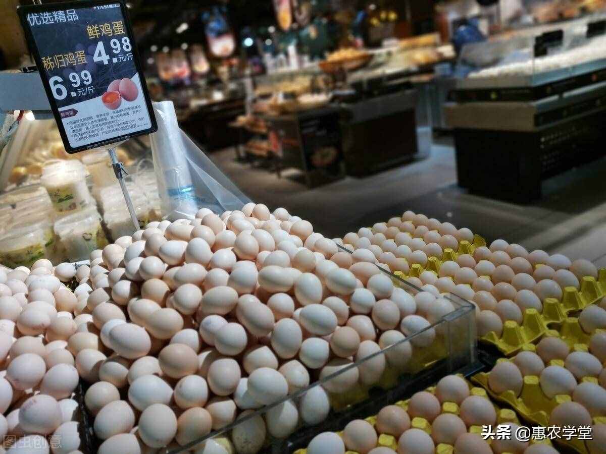 目前鸡蛋多少钱一斤？为何涨不动了？2021年鸡蛋最新行情走势预测