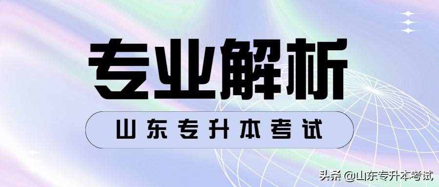 山东专升本考试专业解析——行政管理专业