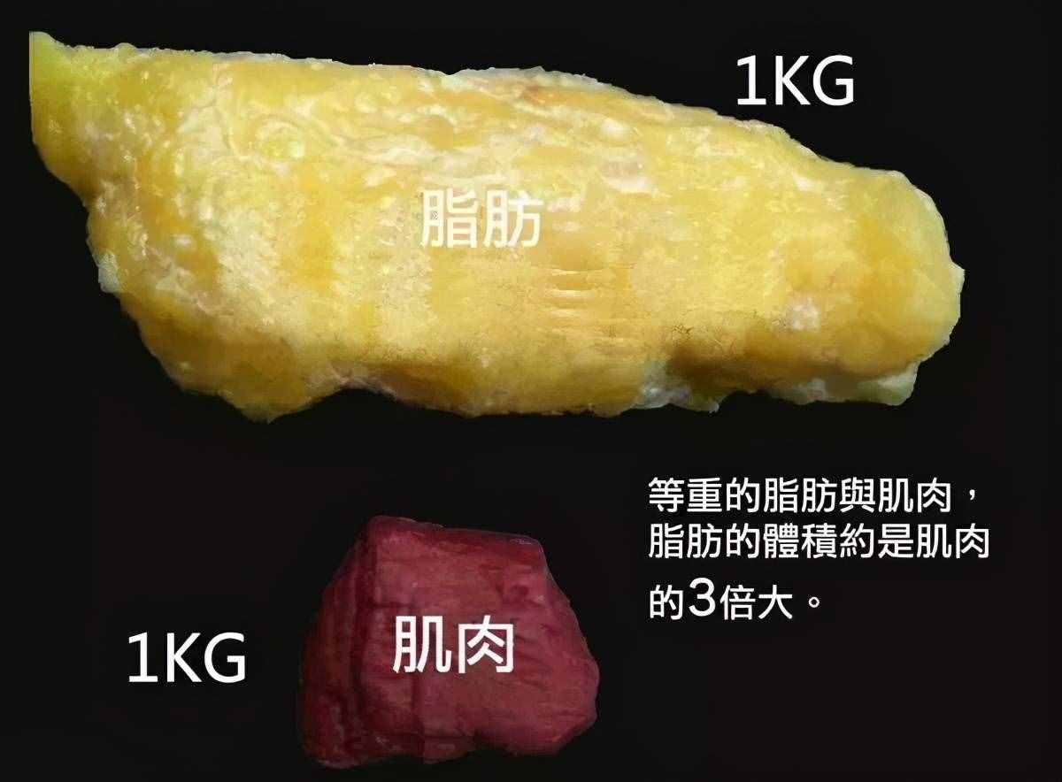 每天多消耗600大卡的热量，一个月可以减掉多久赘肉？