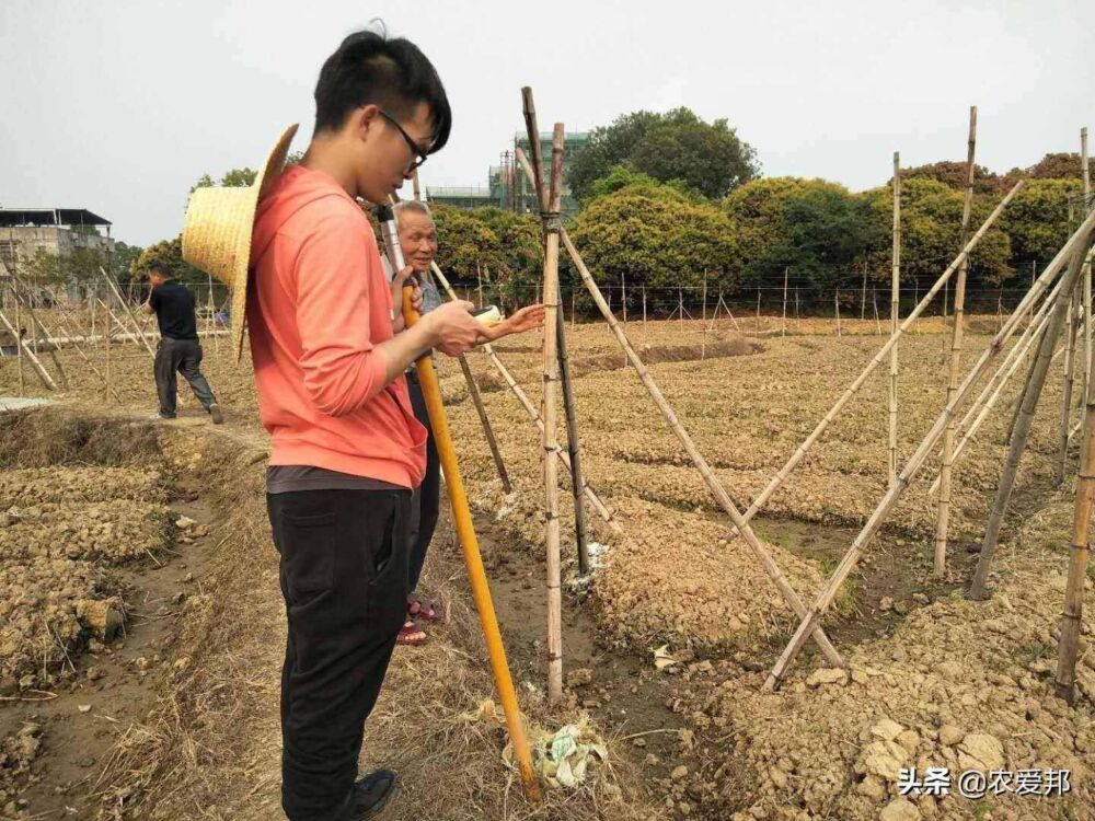 你知道一亩等于多少平方米吗？有关土地方面，农民务必清楚