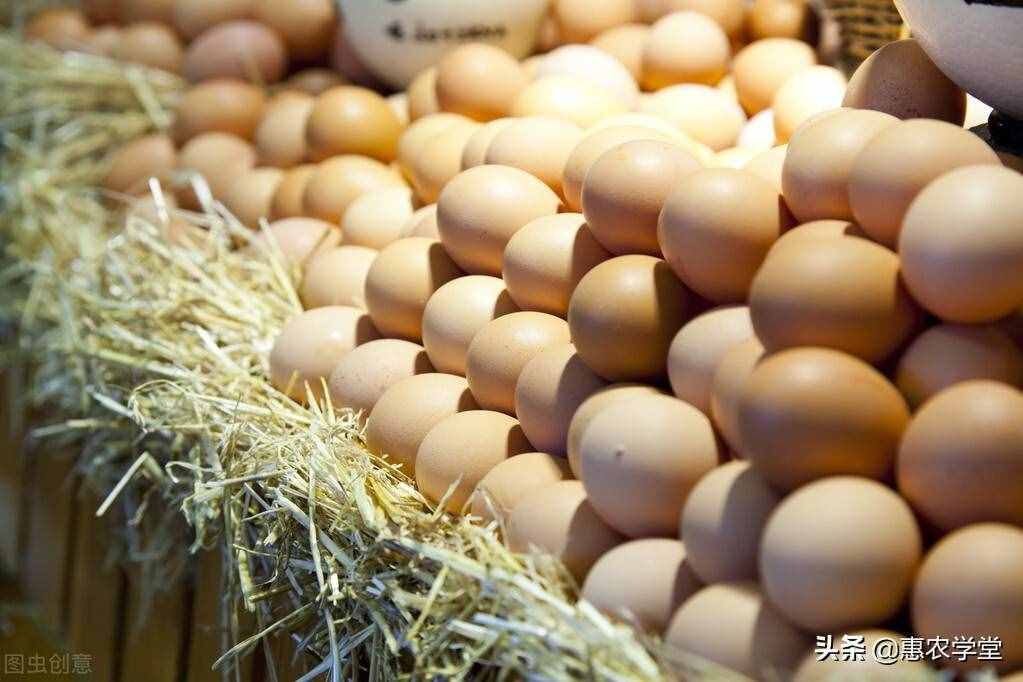 目前鸡蛋多少钱一斤？为何涨不动了？2021年鸡蛋最新行情走势预测