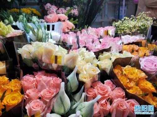 临近母亲节！鲜花玫瑰、康乃馨价格将会小幅上涨