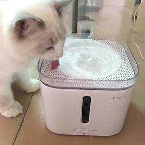 新手养猫｜10种必买和10种避雷的猫咪用品