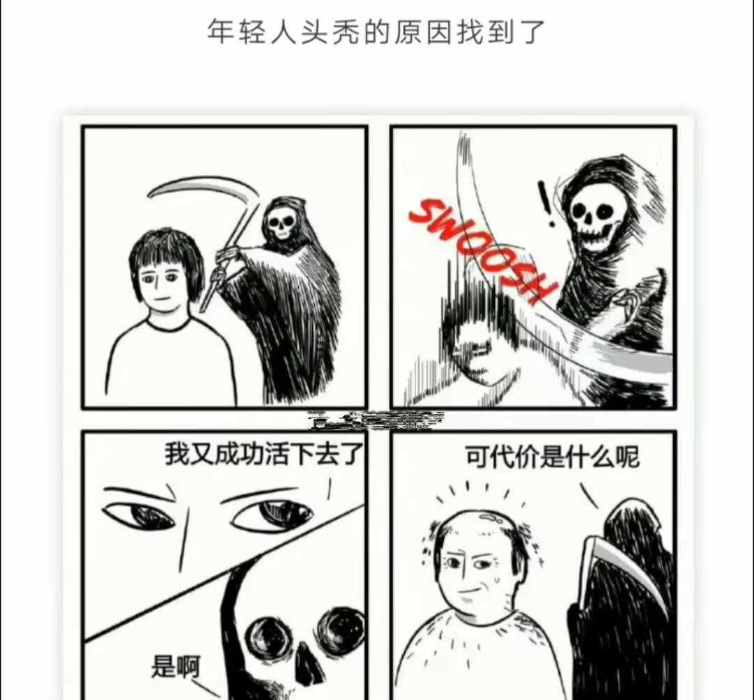 每日一笑：年轻人头秃的原因找到了