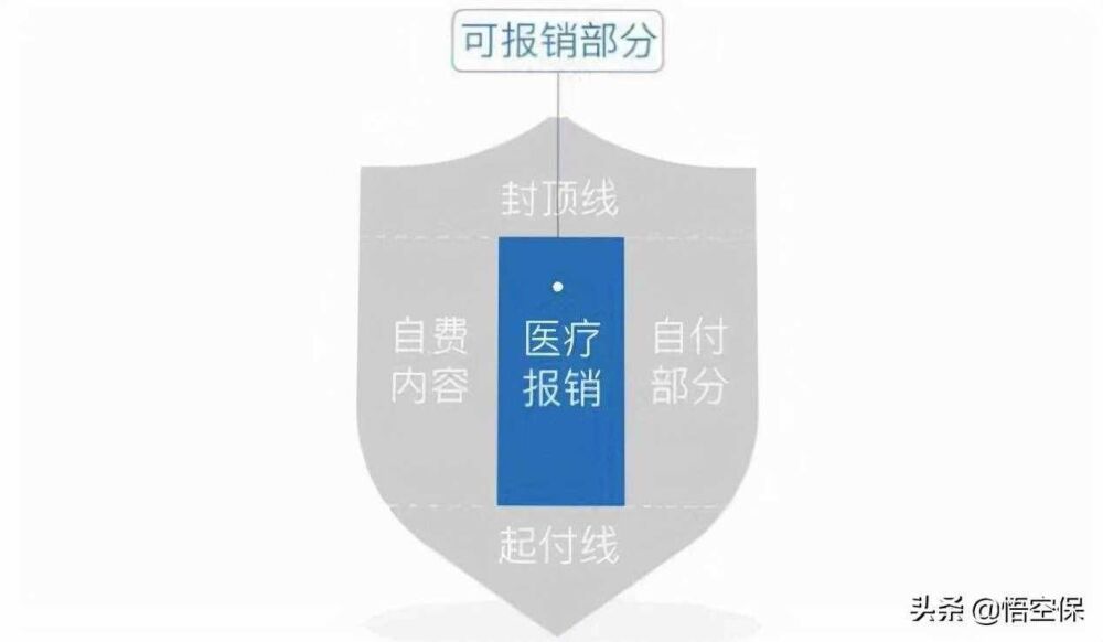 悟空保：阿米巴模式究竟是个什么？