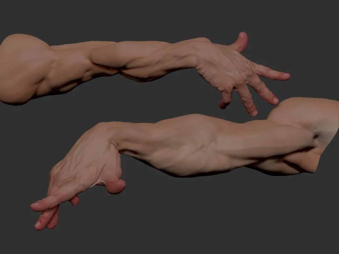 「绘画素材」肌肉与力量美！来一波​大佬的“3D手臂建模”参考
