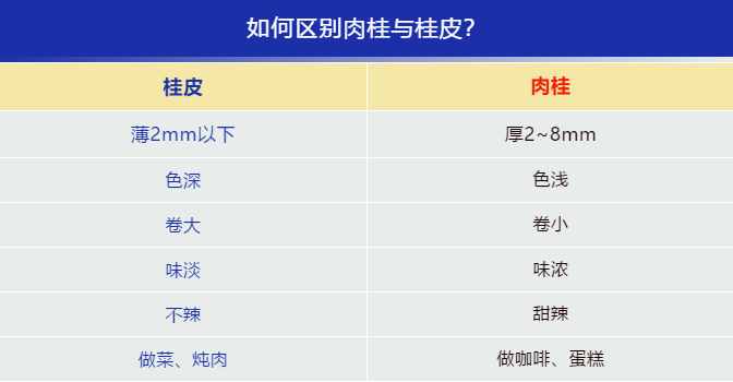 炖肉时，到底用桂皮还是肉桂？区别其实挺大，放错了，难怪肉不香