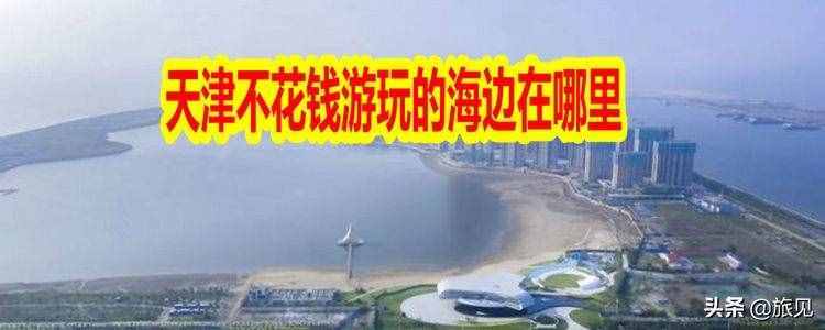 天津不花钱游玩的沙滩在哪里，就在滨海新区，这里人少沙细海不脏