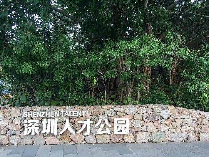 深圳八大网红公园