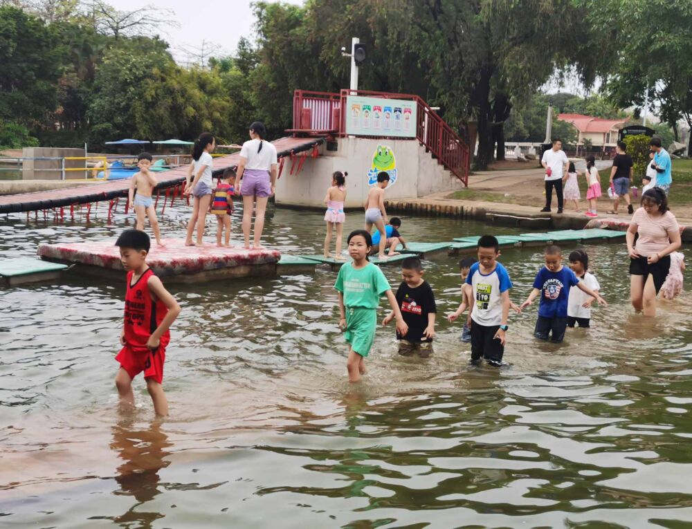 春游好去处！快来深圳西部海上田园打卡