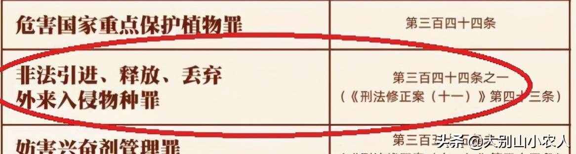 西湖30多只甲鱼被放生，是“积德”还是杀生？会受到处罚吗？