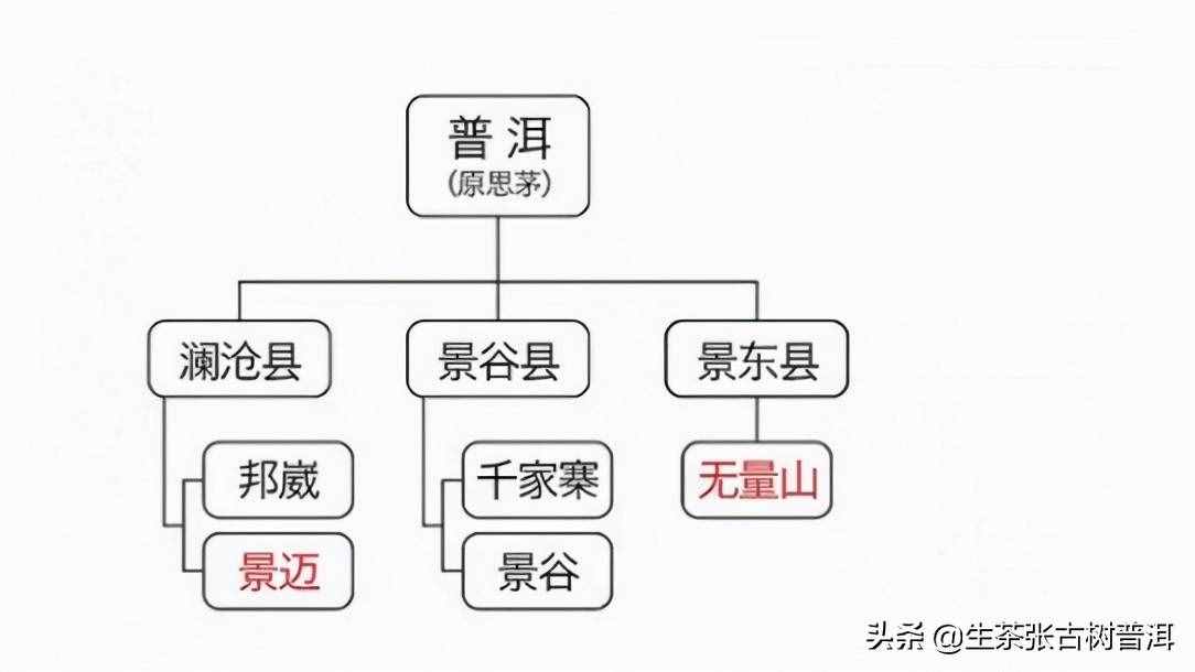 简述：普洱茶知识（产地、形态特征、生长环境），值得收藏