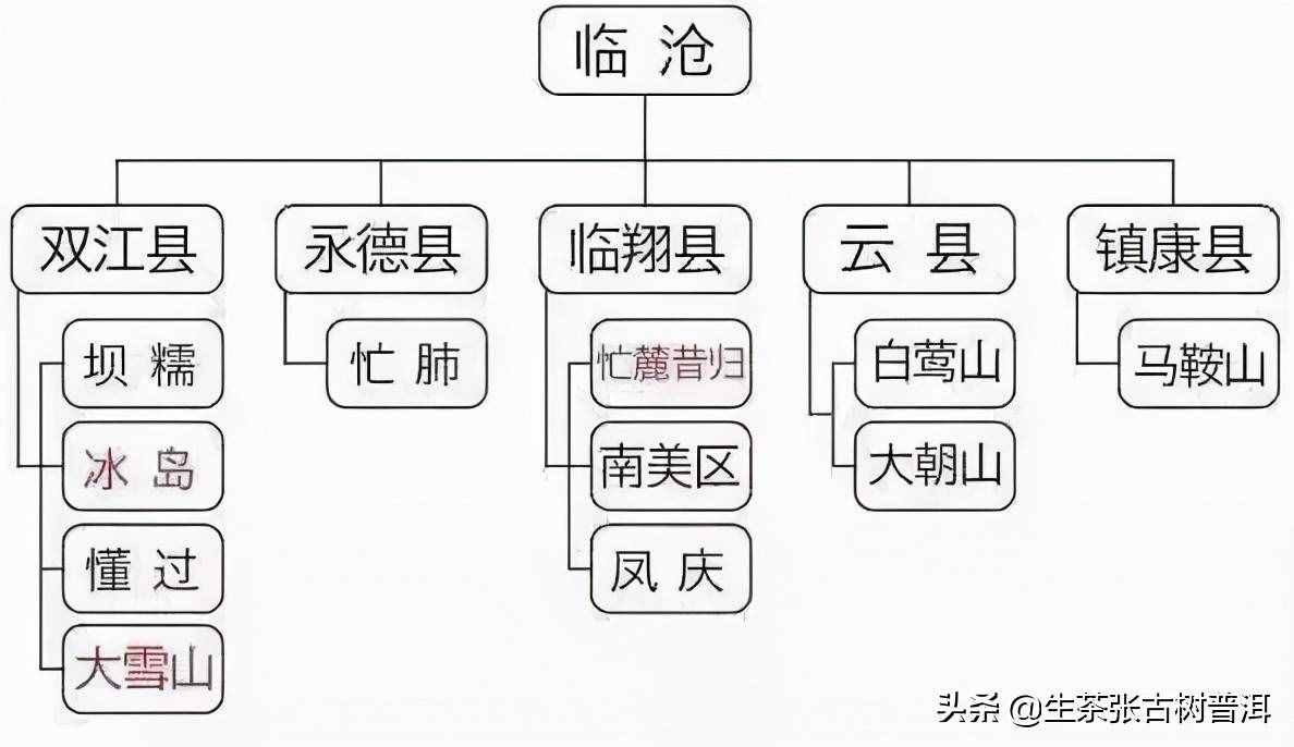 简述：普洱茶知识（产地、形态特征、生长环境），值得收藏