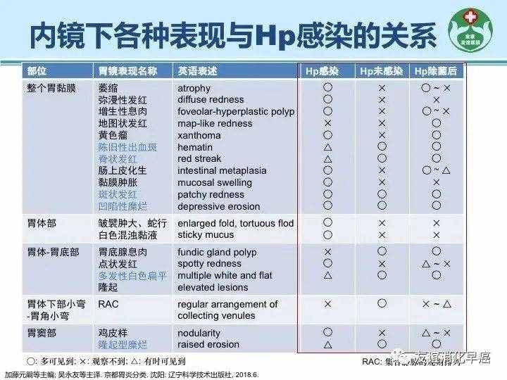 Hp的治疗及除菌前后的内镜下表现