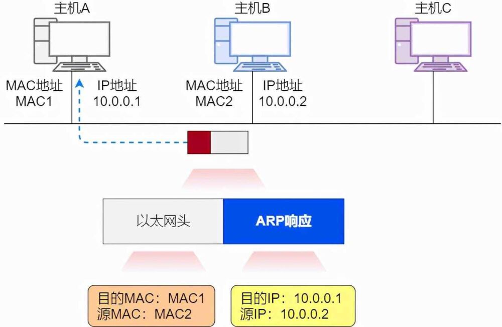 36 张图详解 ARP：网络世界没有我，你哪也别想去