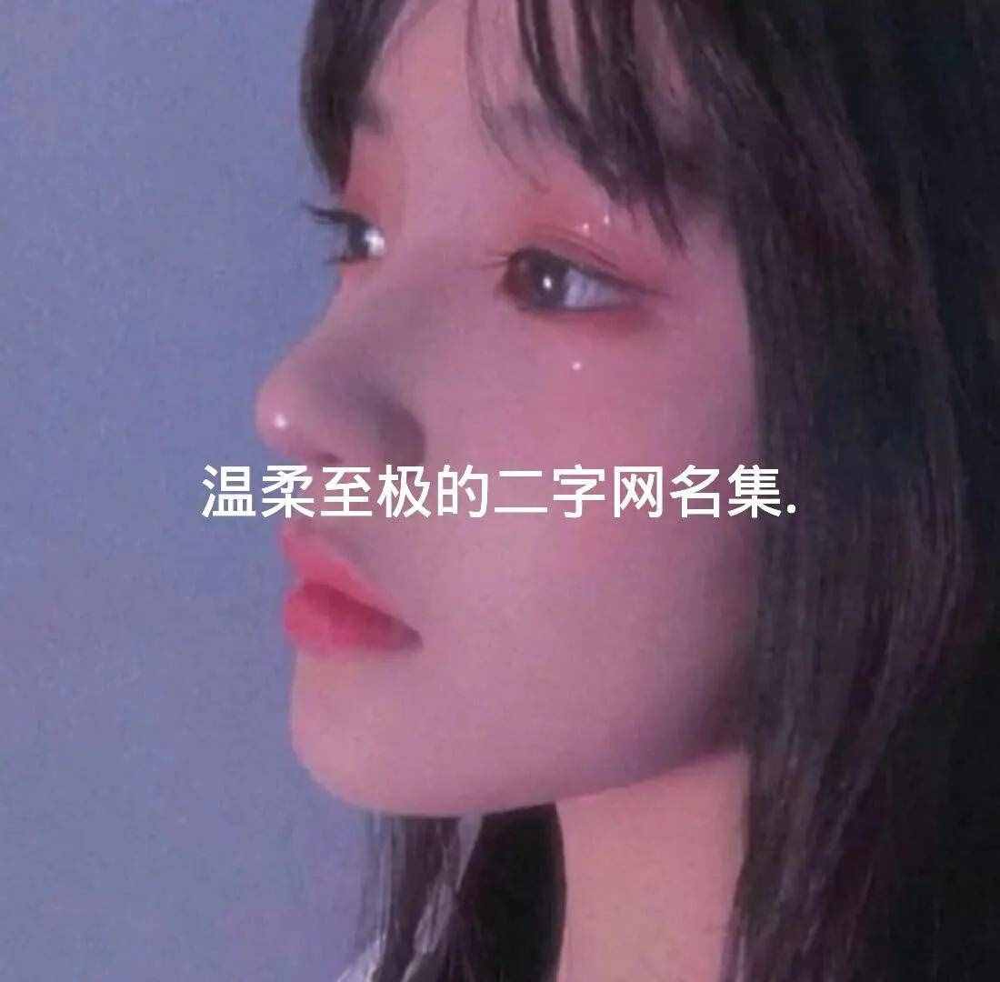 温柔至极的二字网名