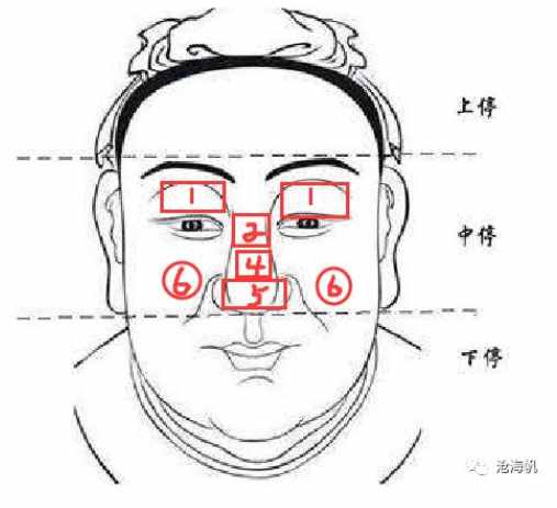 面相：面部痣相总结——中停