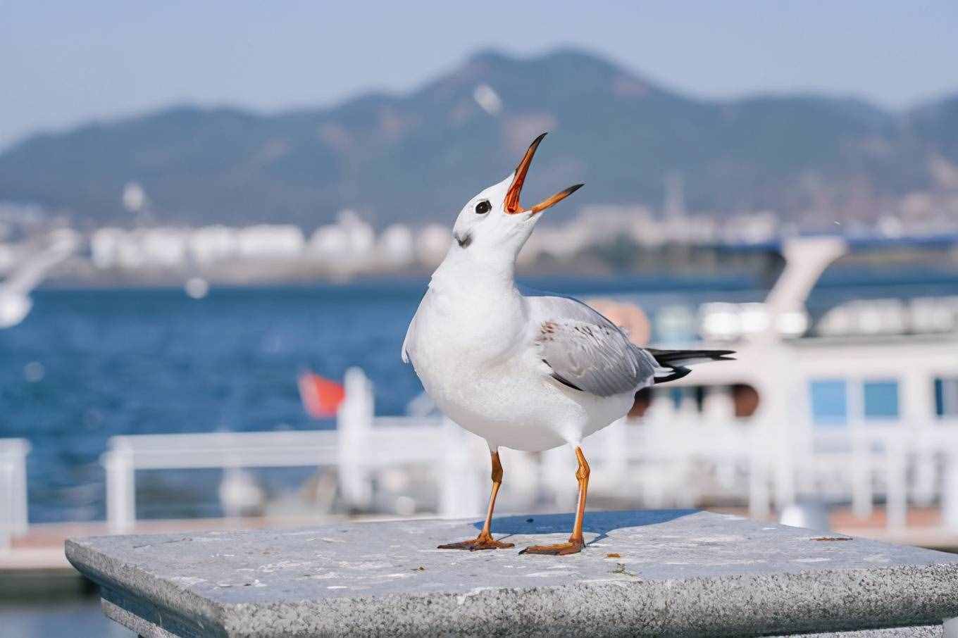 昆明三天自由行攻略，昆明抖音网红景点打卡攻略