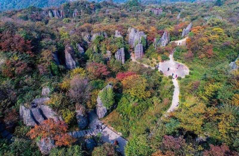 距离主城1h，重庆的第一波秋天藏在这里，建议收藏