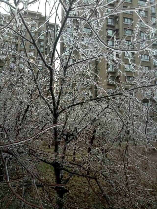 什么是冻雨