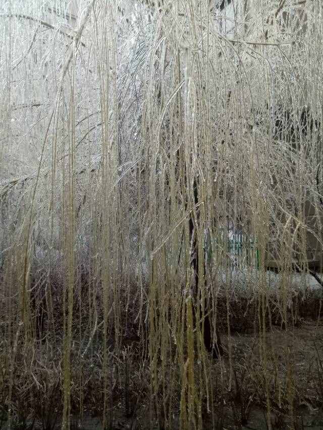 什么是冻雨