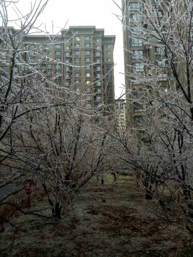 什么是冻雨