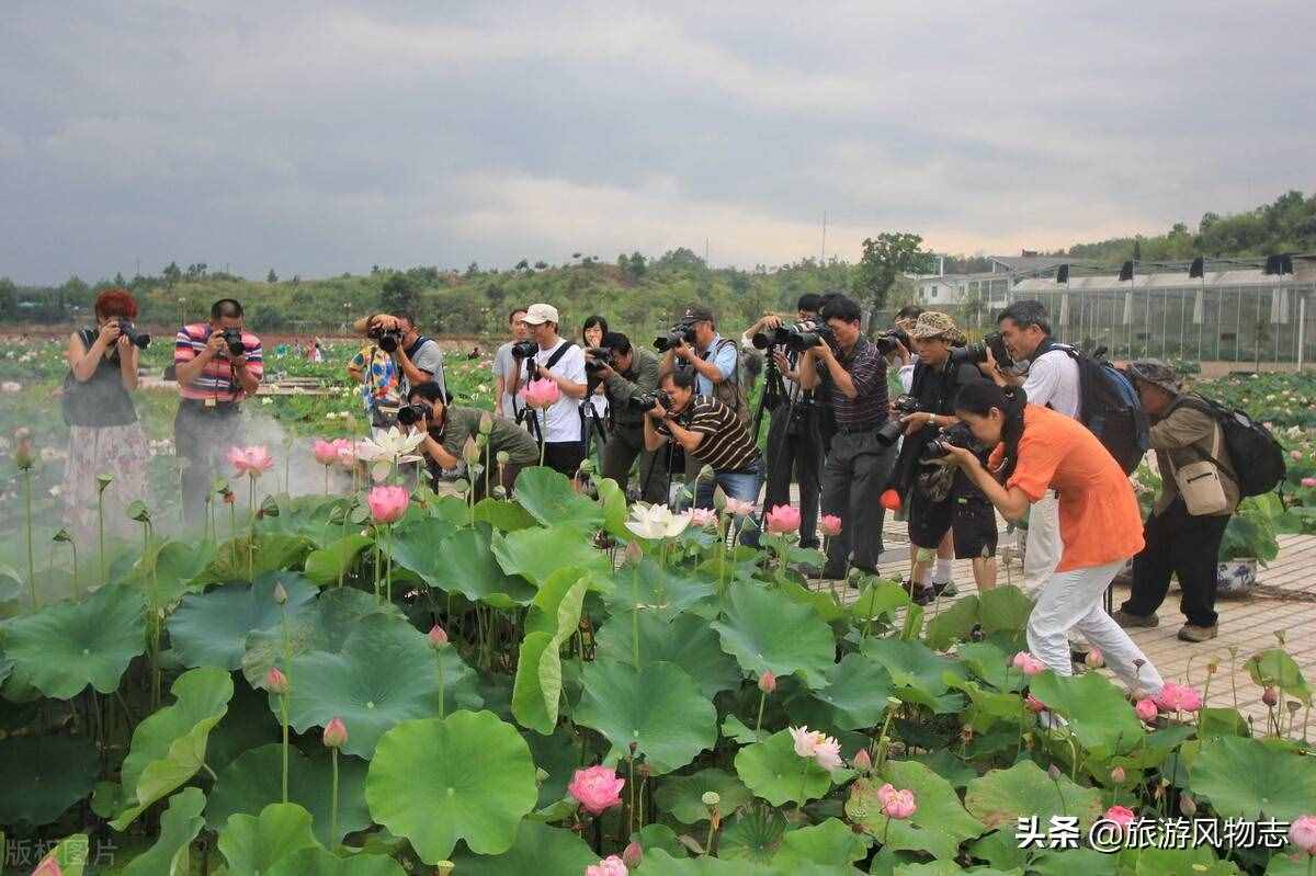 江西十大特产，不愧为人杰地灵之地，看看有你家乡的吗？