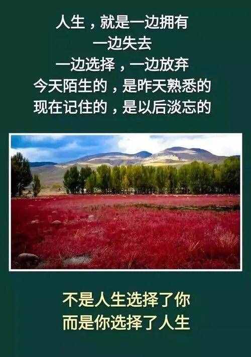 人人都在高呼实现人生价值，那么人生价值到底指的是什么？