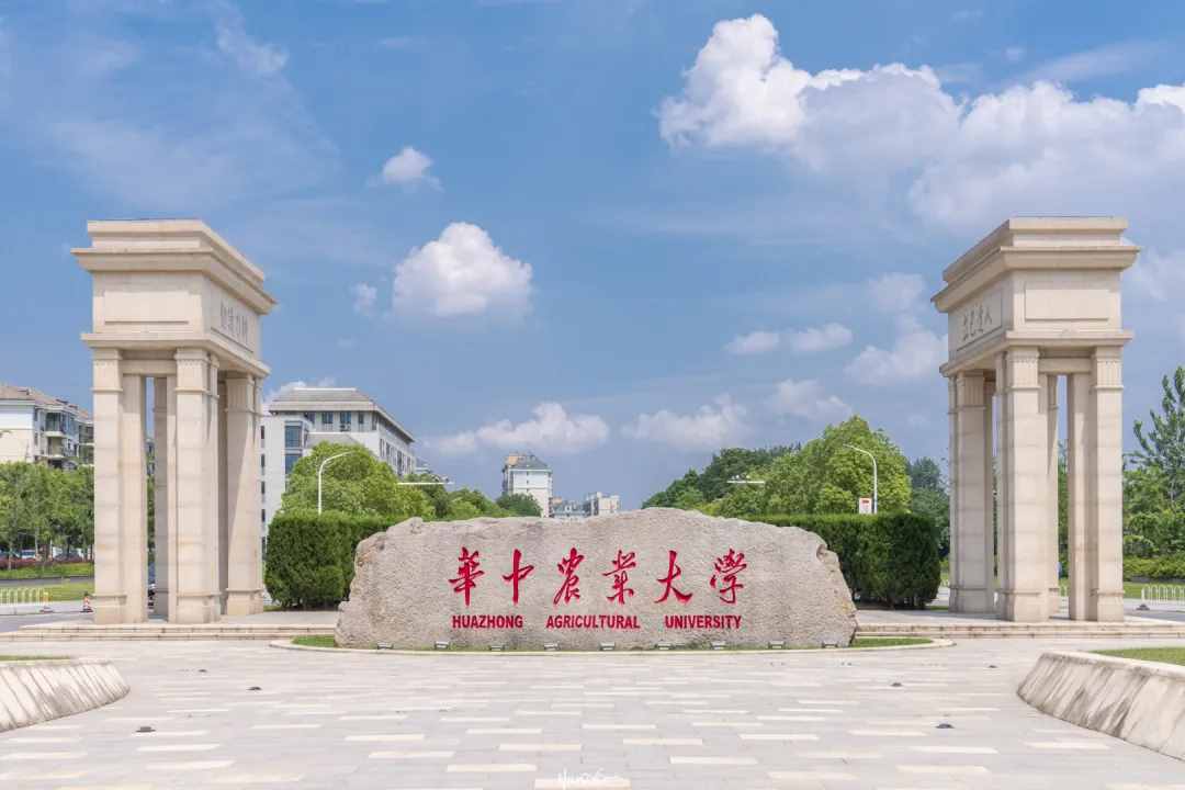 武汉有什么好大学？